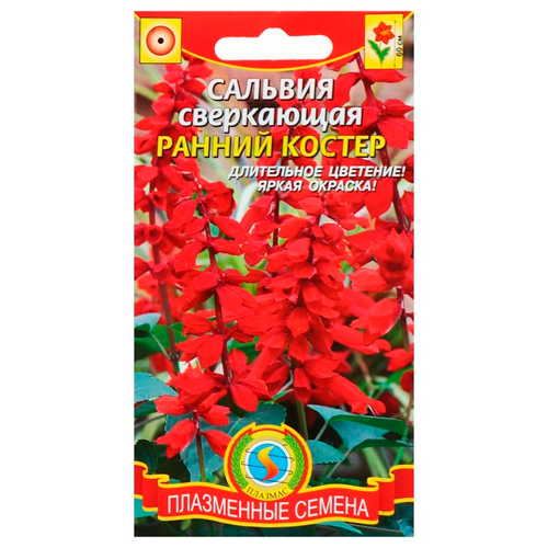 Сальвия сверкающая ранний костер (плазмас) Сальвия сверкающая ранний костер (плазмас)
