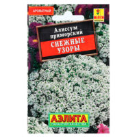 Алиссум снежные узоры Ц (аэлита)