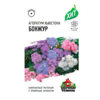 Агератум Бонжур (гавриш) ц