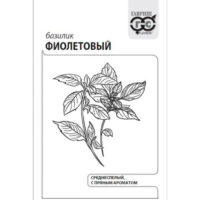Базилик Фиолетовый (гавриш) Б