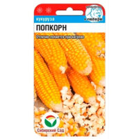 Кукуруза Попкорн (СибСад) Ц