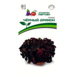 Колеус черный дракон (партнер)