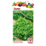 Салат джаз листовой (гавриш)
