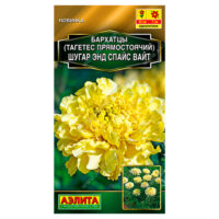 Бархатцы Шугар энд спайс вайт (аэлита) Ц