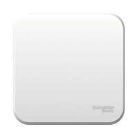 Выключатель открытой установки одноклавишный Schneider-Electric Blanca, 10А