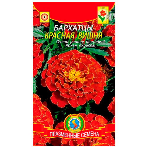Бархатцы Красная вишня (плазма) Ц Бархатцы Красная вишня (плазма) Ц
