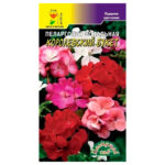 Пеларгония Королевский букет  (Цвет Сад)
