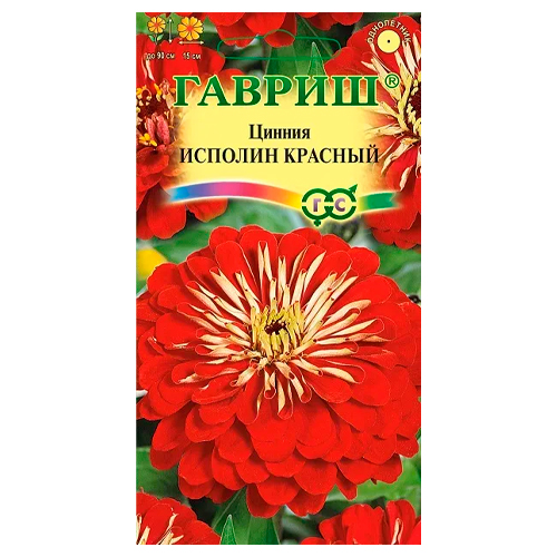 Циния исполин красный (гавриш) Циния исполин красный (гавриш)