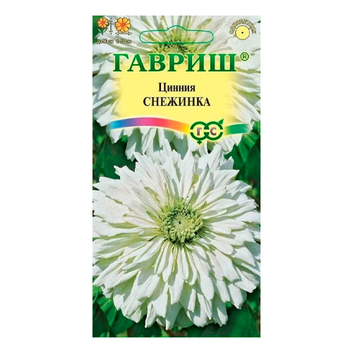 Циния снежинка (гавриш) Циния снежинка (гавриш)