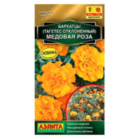 Бархатцы Медовая роза Ц (аэлита)
