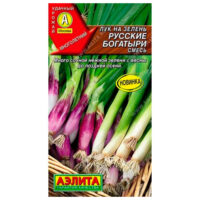 Лук на зелень Русские богатыри (аэлита)